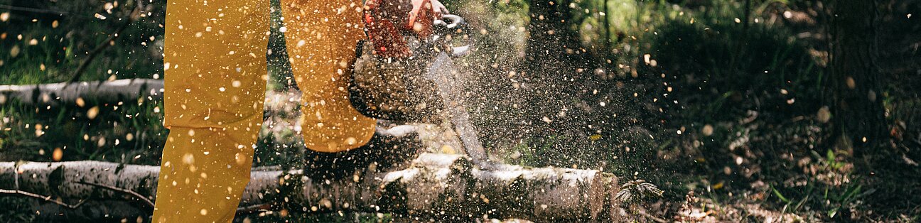 Akku Kettensäge für den Garten Akku Kettensäge für den Garten