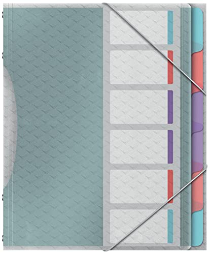 Esselte Leitz A4-Projektordner mit 6 Registern, klaren Kunststofftaschen, zur Schreibtischorganisation, mit Prägemuster, Colour'Breeze Serie, Mehrfarbig, 626255