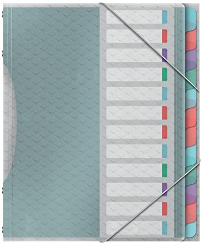 Esselte A4-Projektordner mit 12 Registern, klaren Kunststofftaschen, zur Schreibtischorganisation, mit Prägemuster, Colour'Breeze Serie, Mehrfarbig, 626256